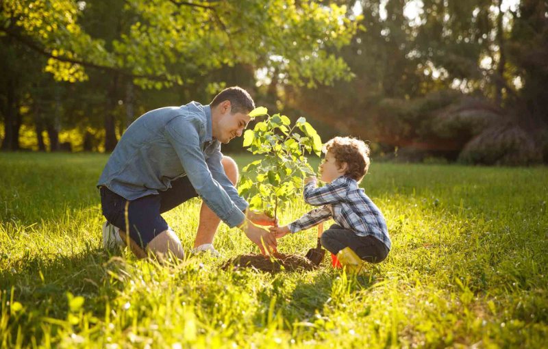 father and son planting a tree